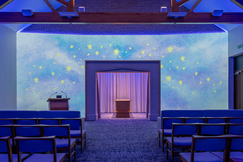 Little Star Projection Image