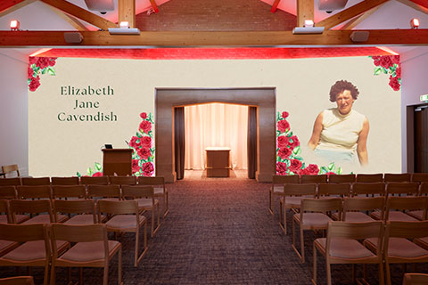 Red Roses Projection Image